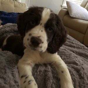 Meet your Posher, Rhonda